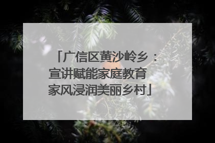 广信区黄沙岭乡：宣讲赋能家庭教育 家风浸润美丽乡村