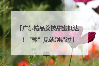 广东精品荔枝甜蜜抵达！“豫”见就别错过