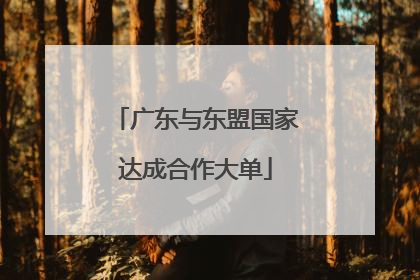 广东与东盟国家达成合作大单