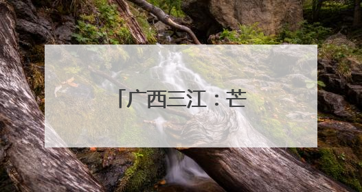 广西三江：芒种到 忙种稻