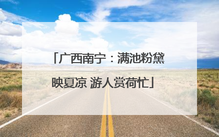 广西南宁：满池粉黛映夏凉 游人赏荷忙