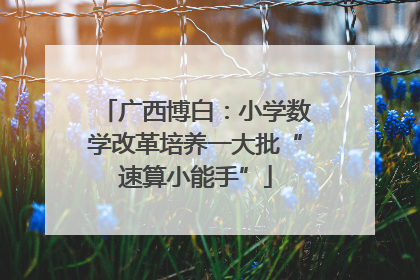广西博白：小学数学改革培养一大批“速算小能手”