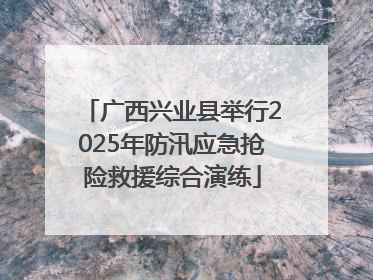 广西兴业县举行2025年防汛应急抢险救援综合演练