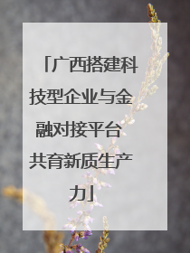 广西搭建科技型企业与金融对接平台 共育新质生产力