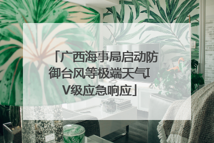 广西海事局启动防御台风等极端天气IV级应急响应