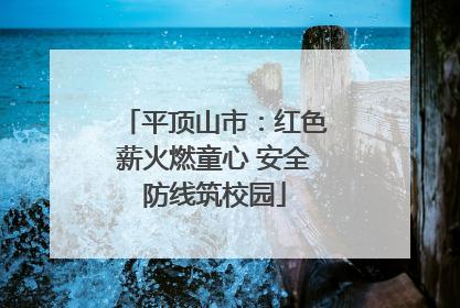 平顶山市：红色薪火燃童心 安全防线筑校园