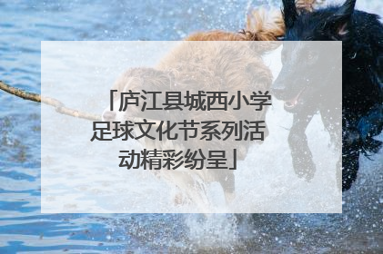 庐江县城西小学足球文化节系列活动精彩纷呈