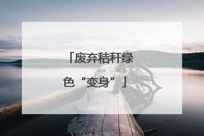 废弃秸秆绿色“变身”