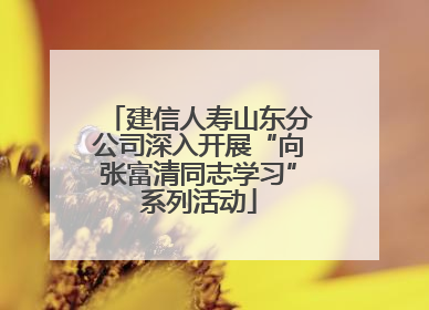 建信人寿山东分公司深入开展“向张富清同志学习”系列活动
