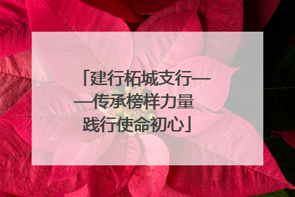 建行柘城支行——传承榜样力量 践行使命初心