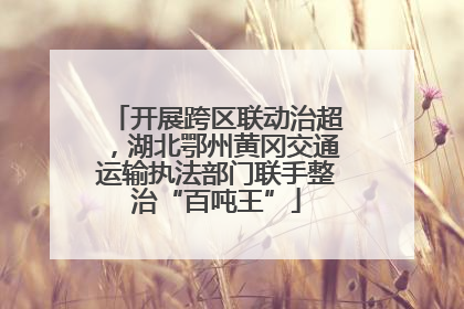 开展跨区联动治超，湖北鄂州黄冈交通运输执法部门联手整治“百吨王”
