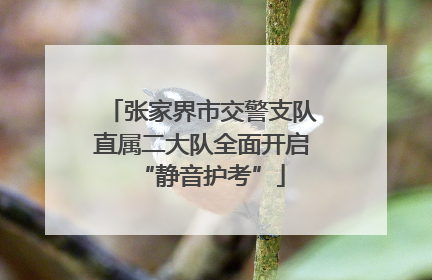 张家界市交警支队直属二大队全面开启“静音护考”