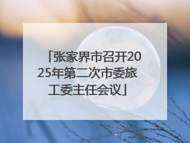 张家界市召开2025年第二次市委旅工委主任会议