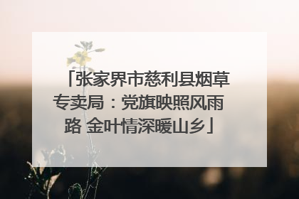 张家界市慈利县烟草专卖局：党旗映照风雨路 金叶情深暖山乡