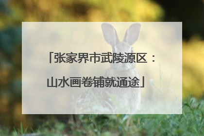 张家界市武陵源区：山水画卷铺就通途