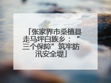 张家界市桑植县走马坪白族乡：“三个保障”筑牢防汛安全堤