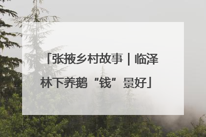张掖乡村故事｜临泽林下养鹅“钱”景好