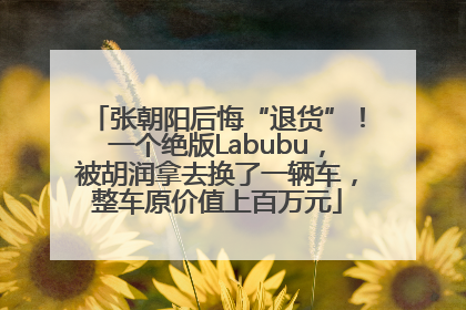 张朝阳后悔“退货”！一个绝版Labubu，被胡润拿去换了一辆车，整车原价值上百万元