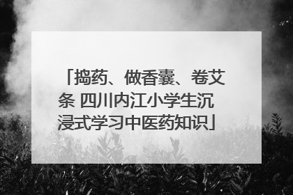 捣药、做香囊、卷艾条 四川内江小学生沉浸式学习中医药知识