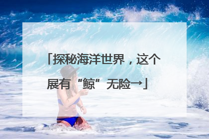 探秘海洋世界，这个展有“鲸”无险→