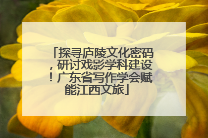 探寻庐陵文化密码，研讨戏影学科建设！广东省写作学会赋能江西文旅