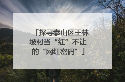 探寻泰山区王林坡村当“红”不让的“网红密码”