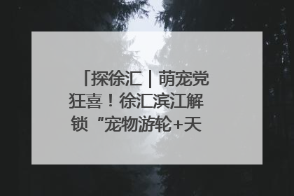 探徐汇｜萌宠党狂喜！徐汇滨江解锁“宠物游轮+天台乐园”双玩法