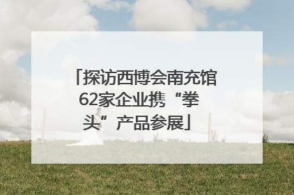 探访西博会南充馆 62家企业携“拳头”产品参展