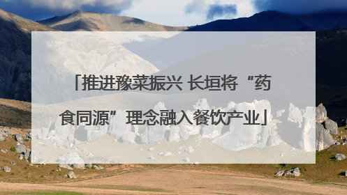 推进豫菜振兴 长垣将“药食同源”理念融入餐饮产业