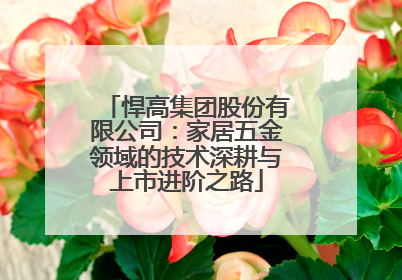 悍高集团股份有限公司：家居五金领域的技术深耕与上市进阶之路