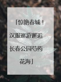 惊艳春城！汉服巡游邂逅长春公园芍药花海