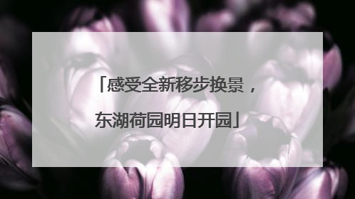 感受全新移步换景，东湖荷园明日开园
