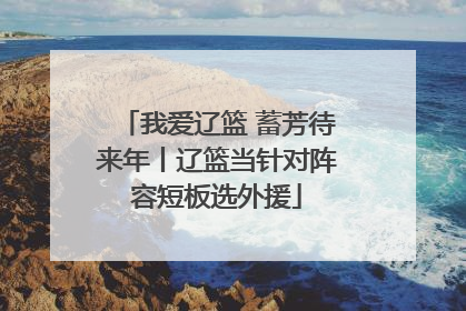 我爱辽篮 蓄芳待来年丨辽篮当针对阵容短板选外援