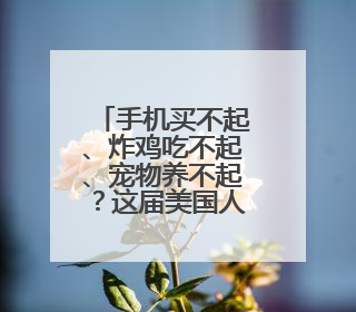 手机买不起、炸鸡吃不起、宠物养不起？这届美国人活得好难