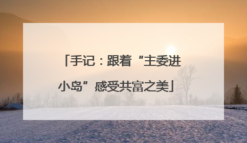 手记：跟着“主委进小岛”感受共富之美