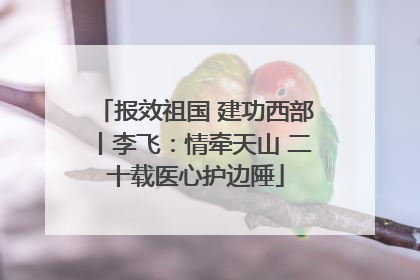 报效祖国 建功西部丨李飞：情牵天山 二十载医心护边陲