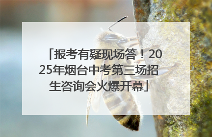 报考有疑现场答！2025年烟台中考第三场招生咨询会火爆开幕