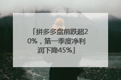拼多多盘前跌超20%，第一季度净利润下降45%