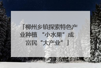 柳州乡镇探索特色产业种植 “小水果”成富民“大产业”