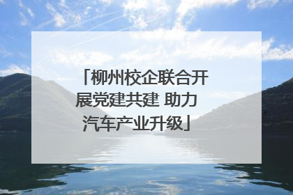 柳州校企联合开展党建共建 助力汽车产业升级