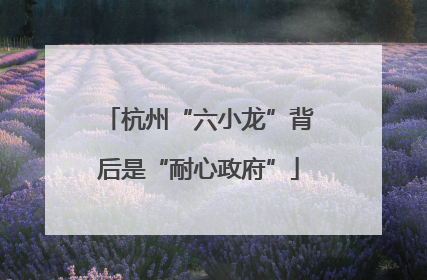 杭州“六小龙”背后是“耐心政府”