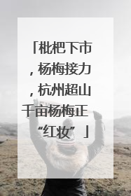 枇杷下市，杨梅接力，杭州超山千亩杨梅正“红妆”