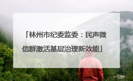 林州市纪委监委：民声微信群激活基层治理新效能