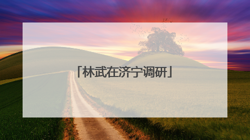 林武在济宁调研