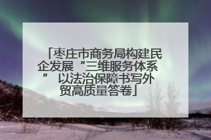 枣庄市商务局构建民企发展“三维服务体系” 以法治保障书写外贸高质量答卷