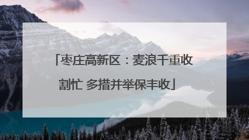 枣庄高新区：麦浪千重收割忙 多措并举保丰收