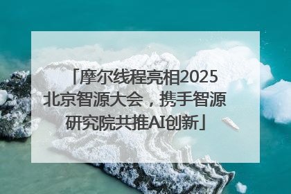摩尔线程亮相2025北京智源大会，携手智源研究院共推AI创新