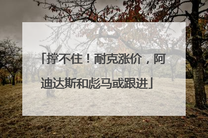 撑不住！耐克涨价，阿迪达斯和彪马或跟进