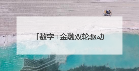 数字+金融双轮驱动，“栀梦行动”“浙”样赋能乡村振兴