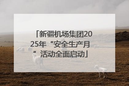新疆机场集团2025年“安全生产月”活动全面启动